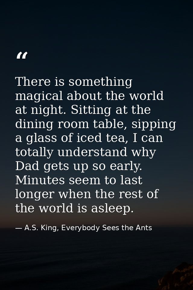 There is something magical about the world at night. Sitting at the dining room table, sipping a glass of iced tea, I ca — A.S. King, Everybody Sees the Ants