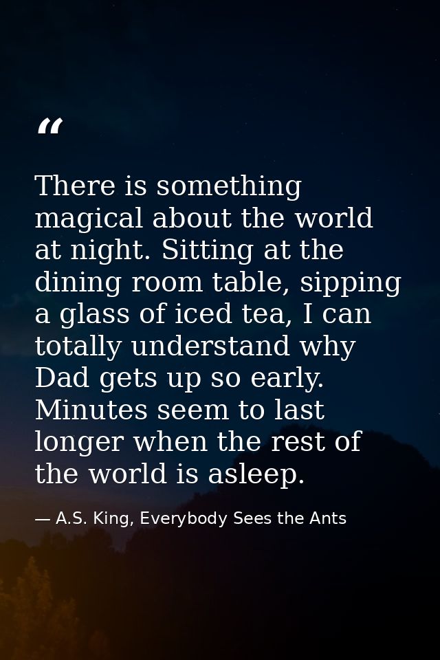 There is something magical about the world at night. Sitting at the dining room table, sipping a glass of iced tea, I ca — A.S. King, Everybody Sees the Ants