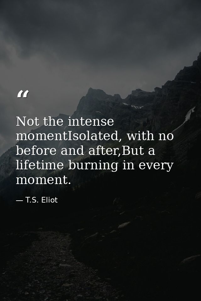 Not the intense momentIsolated, with no before and after,But a lifetime burning in every moment. — T.S. Eliot
