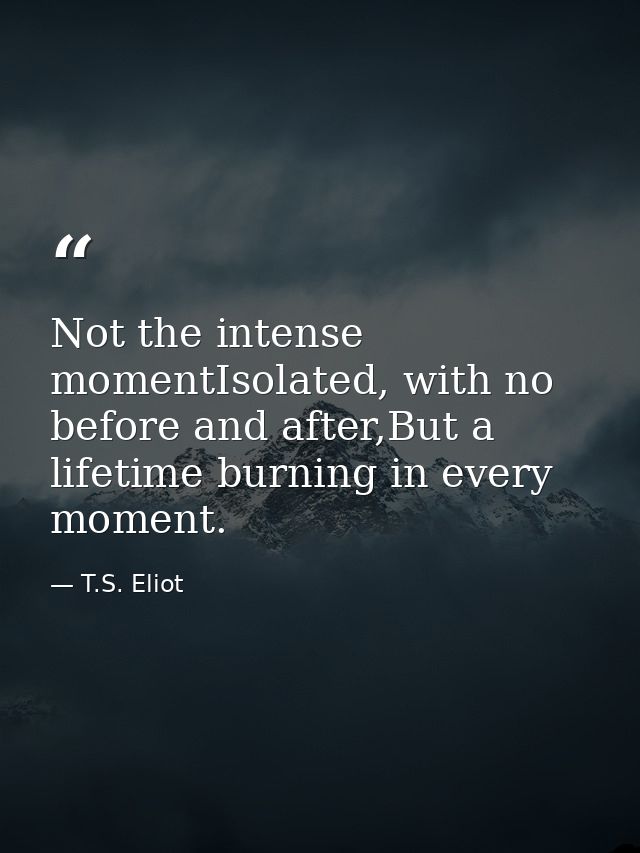 Not the intense momentIsolated, with no before and after,But a lifetime burning in every moment. — T.S. Eliot