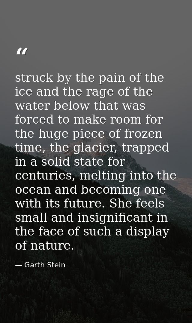 struck by the pain of the ice and the rage of the water below that was forced to make room for the huge piece of frozen  — Garth Stein