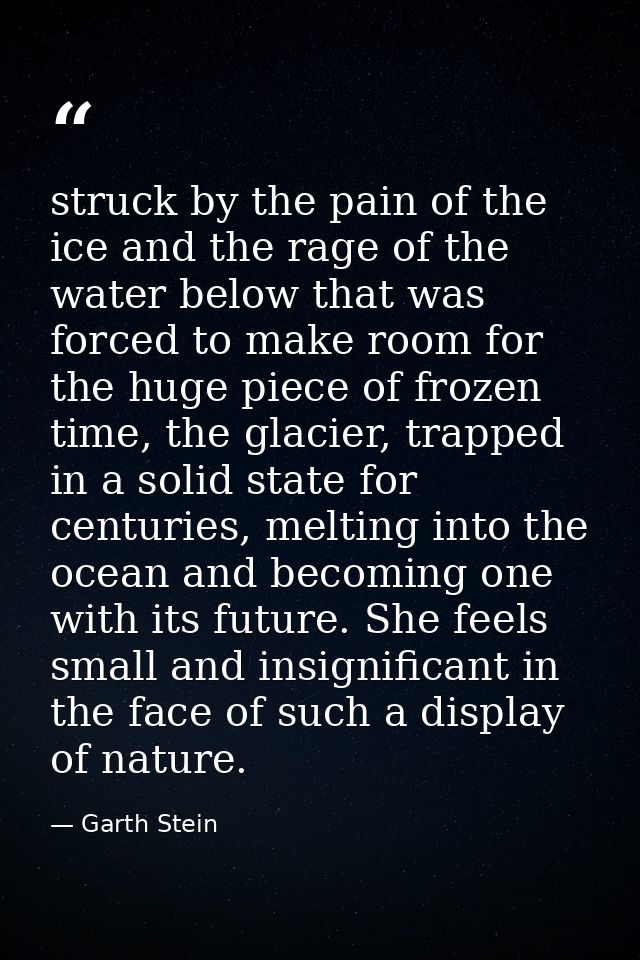 struck by the pain of the ice and the rage of the water below that was forced to make room for the huge piece of frozen  — Garth Stein