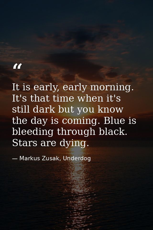 It is early, early morning. It's that time when it's still dark but you know the day is coming. Blue is bleeding through — Markus Zusak, Underdog