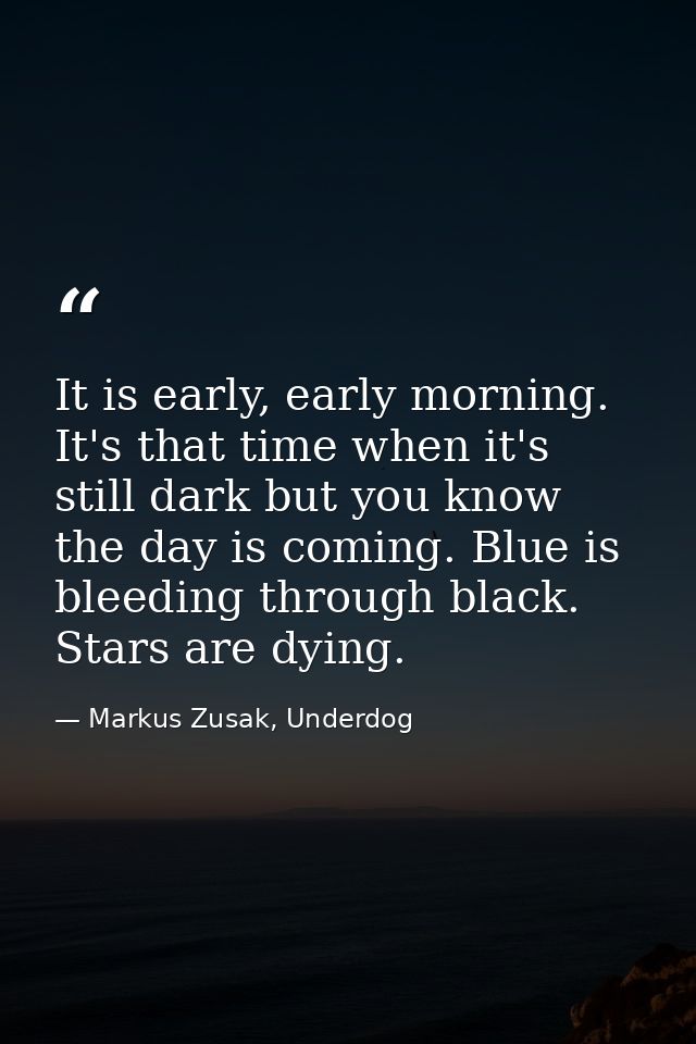 It is early, early morning. It's that time when it's still dark but you know the day is coming. Blue is bleeding through — Markus Zusak, Underdog