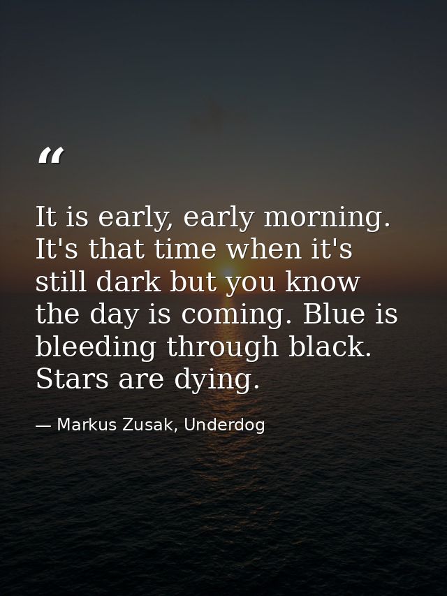 It is early, early morning. It's that time when it's still dark but you know the day is coming. Blue is bleeding through — Markus Zusak, Underdog
