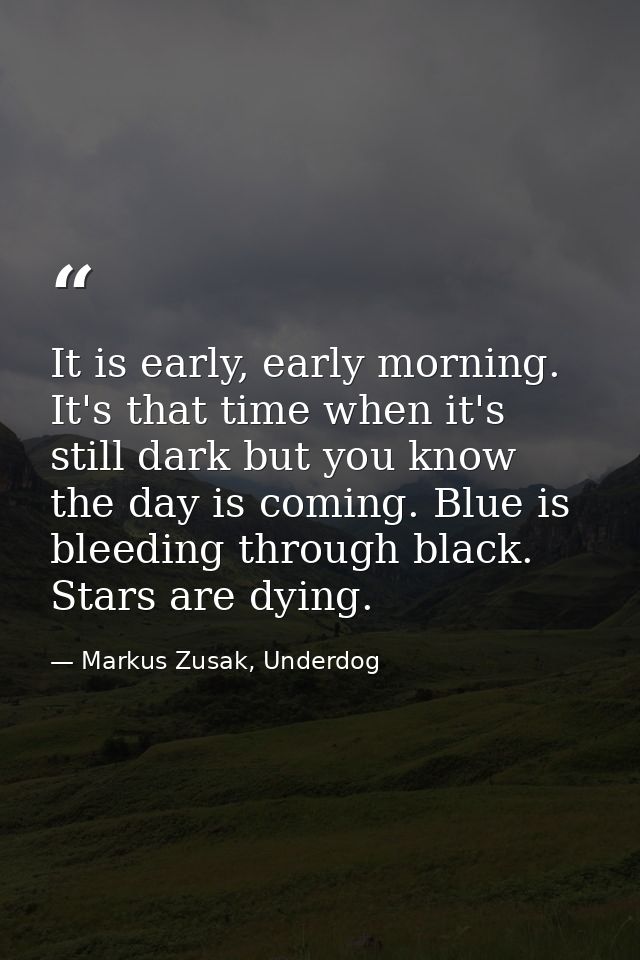 It is early, early morning. It's that time when it's still dark but you know the day is coming. Blue is bleeding through — Markus Zusak, Underdog
