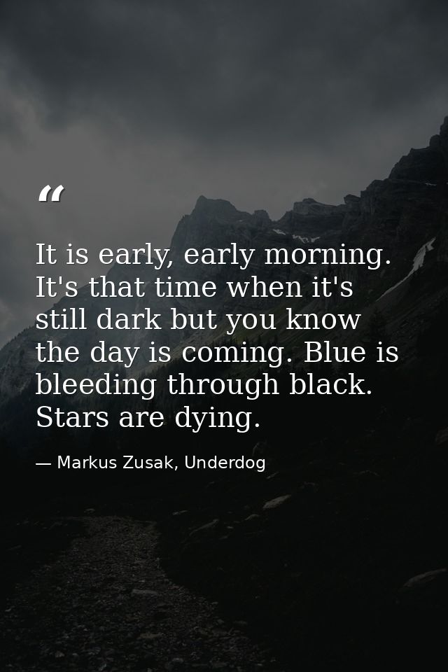 It is early, early morning. It's that time when it's still dark but you know the day is coming. Blue is bleeding through — Markus Zusak, Underdog