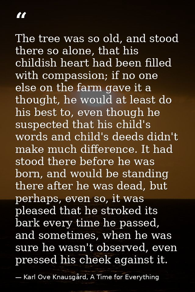 The tree was so old, and stood there so alone, that his childish heart had been filled with compassion; if no one else o — Karl Ove Knausgård, A Time for Everything