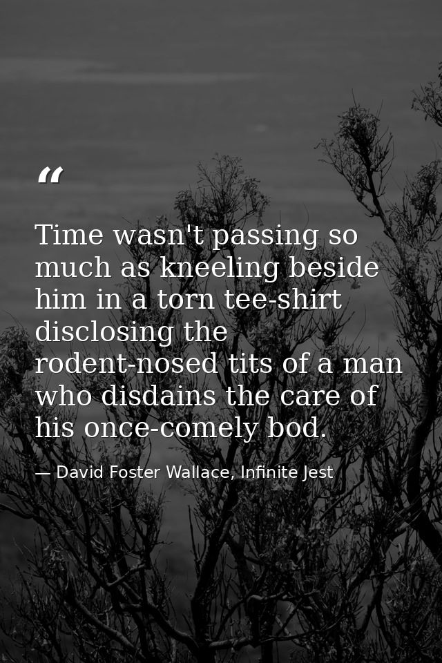 Time wasn't passing so much as kneeling beside him in a torn tee-shirt disclosing the rodent-nosed tits of a man who dis — David Foster Wallace, Infinite Jest