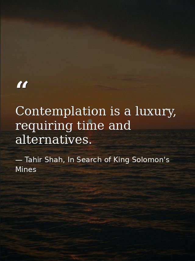 Contemplation is a luxury, requiring time and alternatives. — Tahir Shah, In Search of King Solomon's Mines