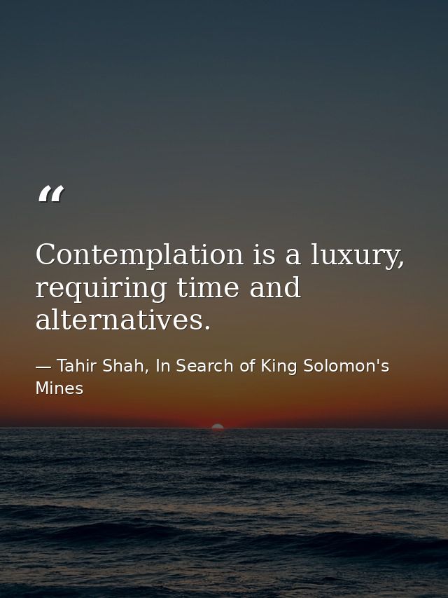Contemplation is a luxury, requiring time and alternatives. — Tahir Shah, In Search of King Solomon's Mines