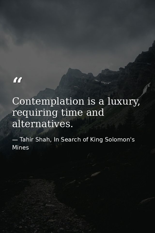Contemplation is a luxury, requiring time and alternatives. — Tahir Shah, In Search of King Solomon's Mines