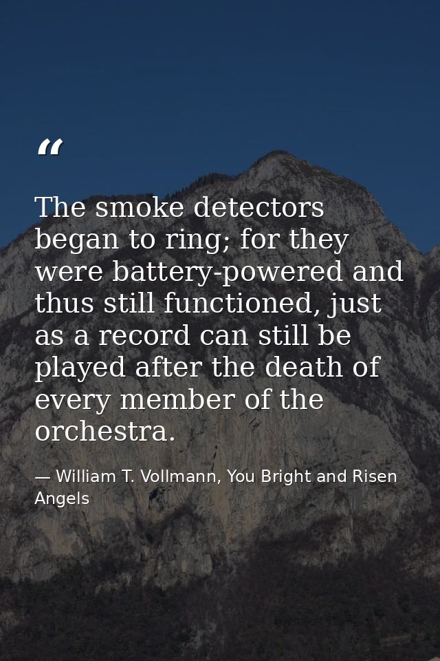 The smoke detectors began to ring; for they were battery-powered and thus still functioned, just as a record can still b — William T. Vollmann, You Bright and Risen Angels