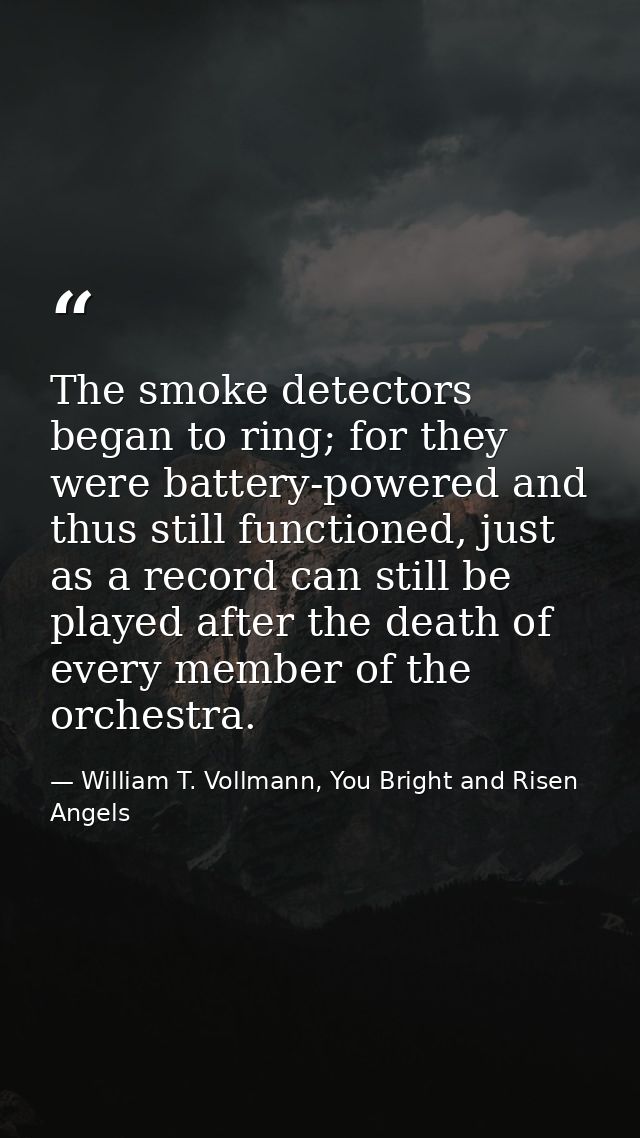 The smoke detectors began to ring; for they were battery-powered and thus still functioned, just as a record can still b — William T. Vollmann, You Bright and Risen Angels