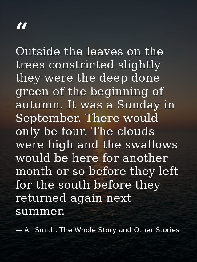 Outside the leaves on the trees constricted slightly they were the deep done green of the beginning of autumn. It was a  — Ali Smith, The Whole Story and Other Stories