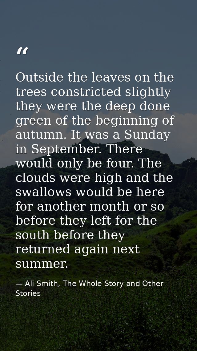 Outside the leaves on the trees constricted slightly they were the deep done green of the beginning of autumn. It was a  — Ali Smith, The Whole Story and Other Stories