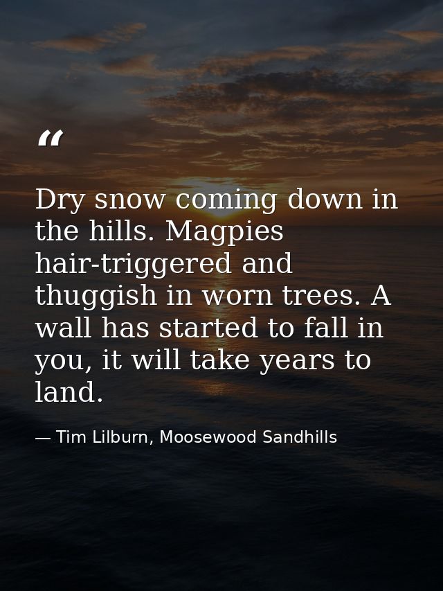 Dry snow coming down in the hills. Magpies hair-triggered and thuggish in worn trees. A wall has started to fall in you, — Tim Lilburn, Moosewood Sandhills