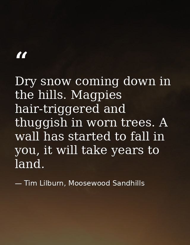Dry snow coming down in the hills. Magpies hair-triggered and thuggish in worn trees. A wall has started to fall in you, — Tim Lilburn, Moosewood Sandhills