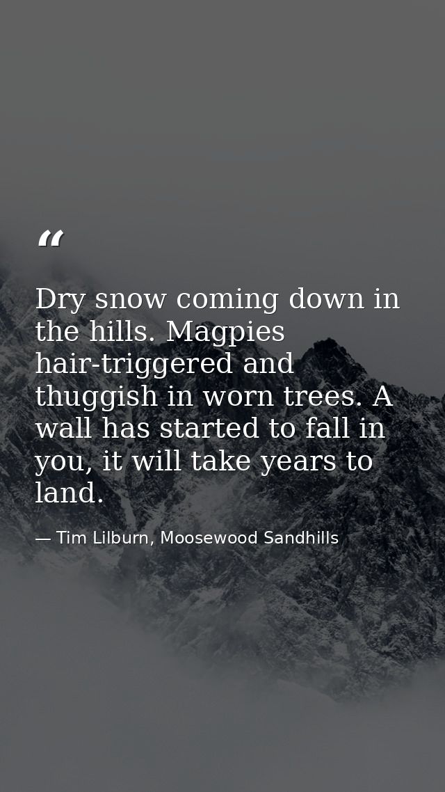 Dry snow coming down in the hills. Magpies hair-triggered and thuggish in worn trees. A wall has started to fall in you, — Tim Lilburn, Moosewood Sandhills