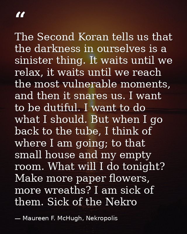 The Second Koran tells us that the darkness in ourselves is a sinister thing. It waits until we relax, it waits until we — Maureen F. McHugh, Nekropolis