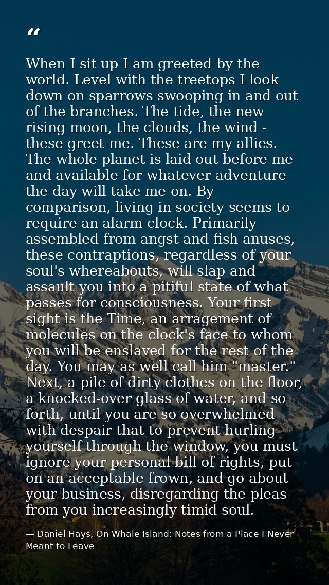 When I sit up I am greeted by the world. Level with the treetops I look down on sparrows swooping in and out of the bran — Daniel Hays, On Whale Island: Notes from a Place I Never Meant to Leave