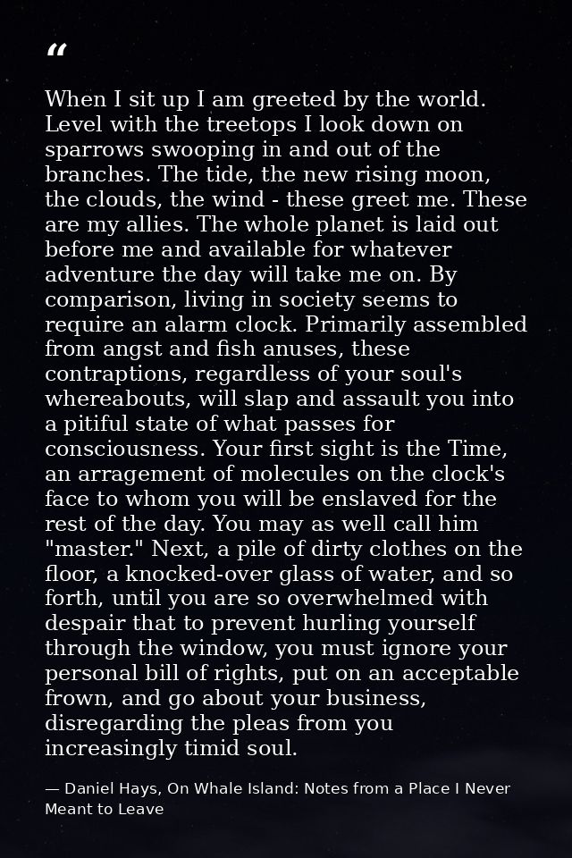 When I sit up I am greeted by the world. Level with the treetops I look down on sparrows swooping in and out of the bran — Daniel Hays, On Whale Island: Notes from a Place I Never Meant to Leave