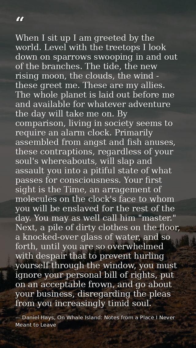 When I sit up I am greeted by the world. Level with the treetops I look down on sparrows swooping in and out of the bran — Daniel Hays, On Whale Island: Notes from a Place I Never Meant to Leave