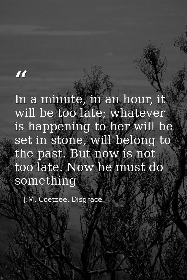 In a minute, in an hour, it will be too late; whatever is happening to her will be set in stone, will belong to the past — J.M. Coetzee, Disgrace