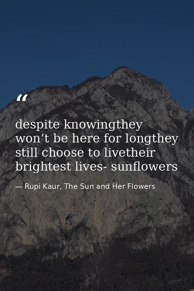 despite knowingthey won’t be here for longthey still choose to livetheir brightest lives- sunflowers — Rupi Kaur, The Sun and Her Flowers