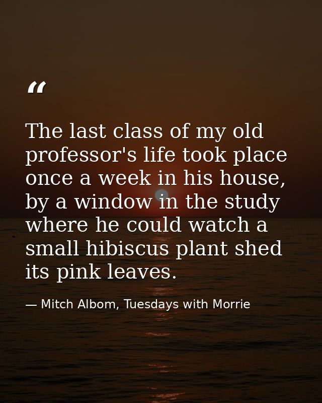 The last class of my old professor's life took place once a week in his house, by a window in the study where he could w — Mitch Albom, Tuesdays with Morrie