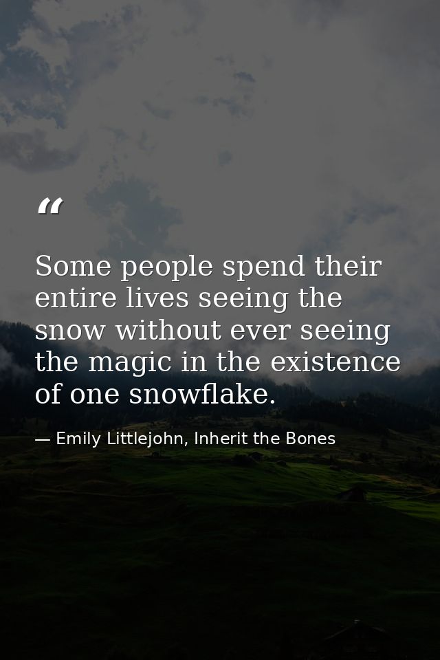 Some people spend their entire lives seeing the snow without ever seeing the magic in the existence of one snowflake. — Emily Littlejohn, Inherit the Bones