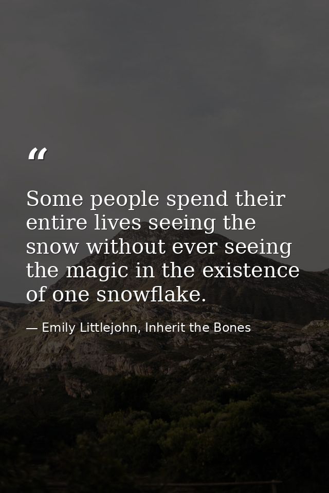 Some people spend their entire lives seeing the snow without ever seeing the magic in the existence of one snowflake. — Emily Littlejohn, Inherit the Bones
