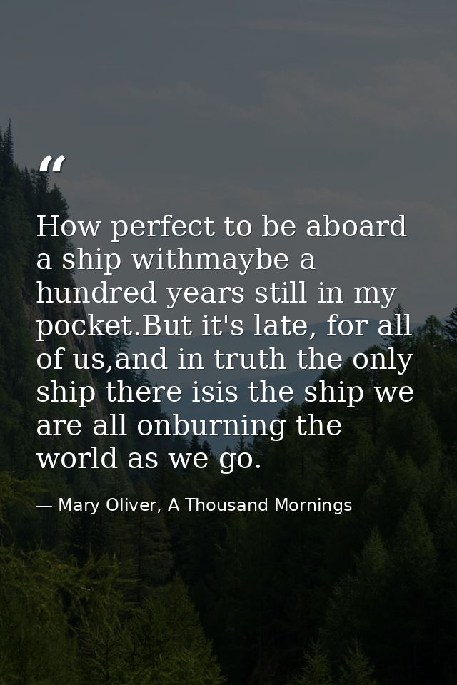 How perfect to be aboard a ship withmaybe a hundred years still in my pocket.But it's late, for all of us,and in truth t — Mary Oliver, A Thousand Mornings