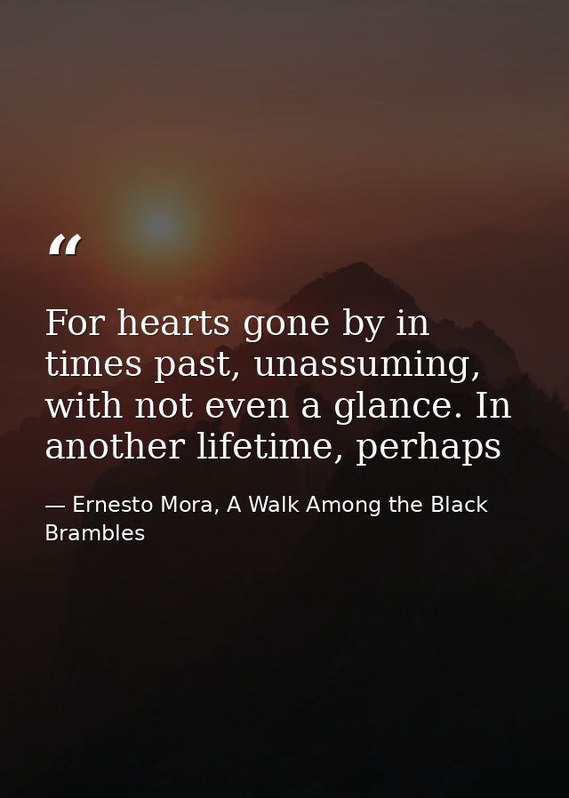 For hearts gone by in times past, unassuming, with not even a glance. In another lifetime, perhaps — Ernesto Mora, A Walk Among the Black Brambles