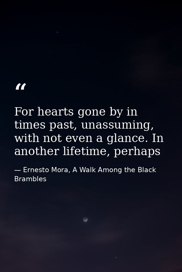 For hearts gone by in times past, unassuming, with not even a glance. In another lifetime, perhaps — Ernesto Mora, A Walk Among the Black Brambles