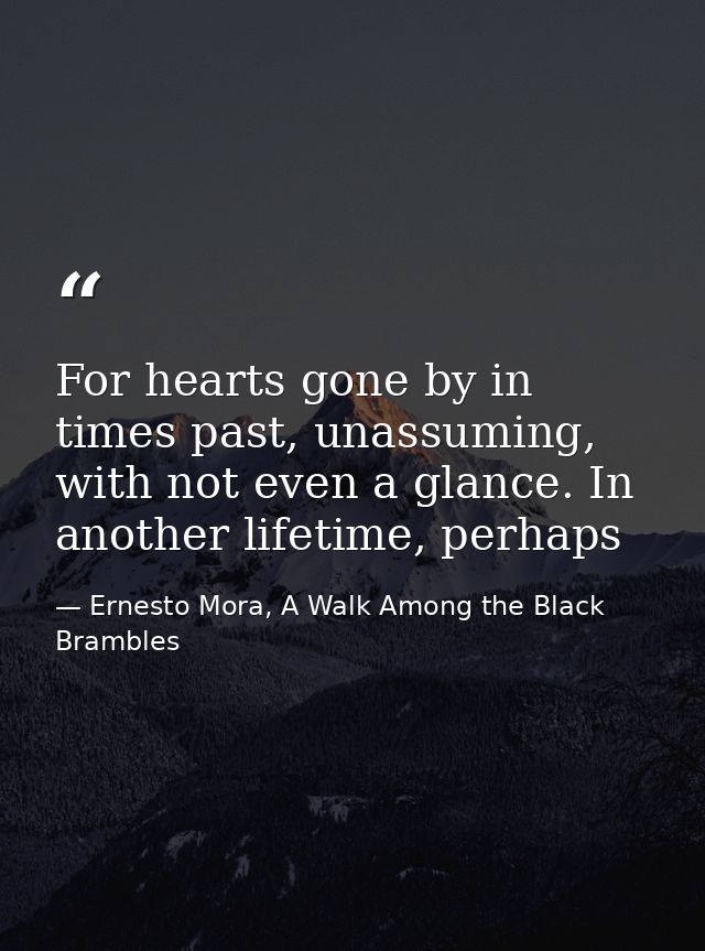 For hearts gone by in times past, unassuming, with not even a glance. In another lifetime, perhaps — Ernesto Mora, A Walk Among the Black Brambles