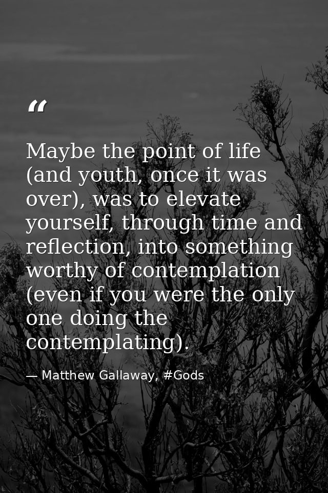 Maybe the point of life (and youth, once it was over), was to elevate yourself, through time and reflection, into someth — Matthew Gallaway, #Gods