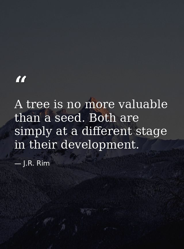 A tree is no more valuable than a seed. Both are simply at a different stage in their development. — J.R. Rim