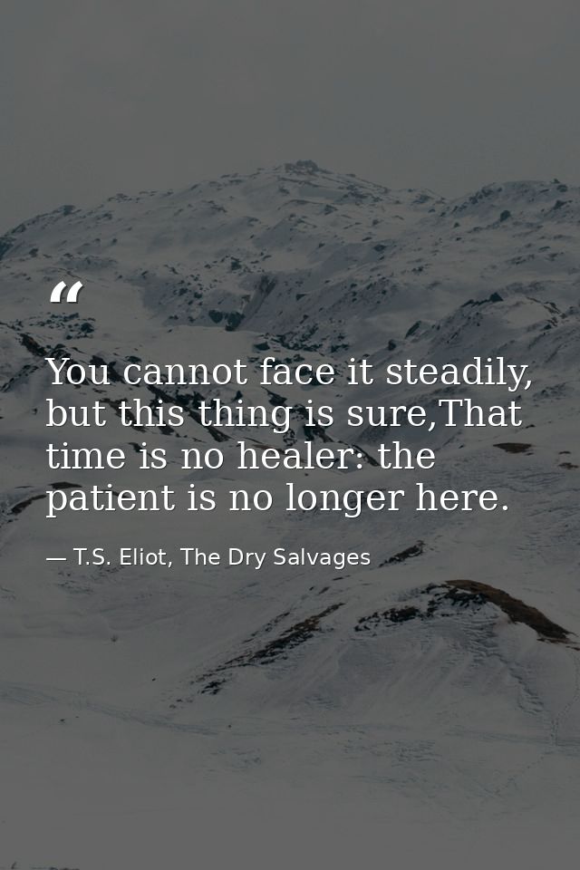 You cannot face it steadily, but this thing is sure,That time is no healer: the patient is no longer here. — T.S. Eliot, The Dry Salvages