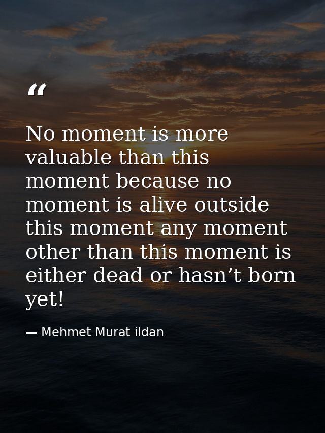 No moment is more valuable than this moment because no moment is alive outside this moment any moment other than this mo — Mehmet Murat ildan
