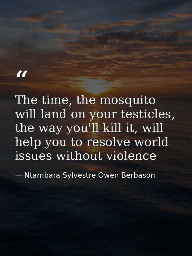 The time, the mosquito will land on your testicles, the way you'll kill it, will help you to resolve world issues withou — Ntambara Sylvestre Owen Berbason