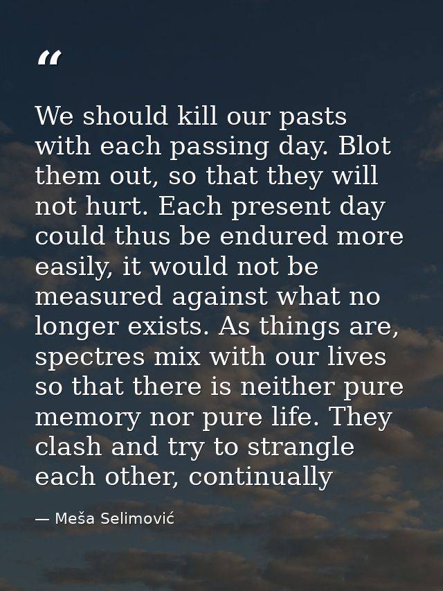 We should kill our pasts with each passing day. Blot them out, so that they will not hurt. Each present day could thus b — Meša Selimović