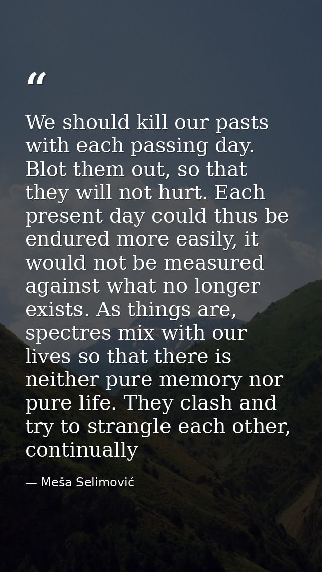 We should kill our pasts with each passing day. Blot them out, so that they will not hurt. Each present day could thus b — Meša Selimović