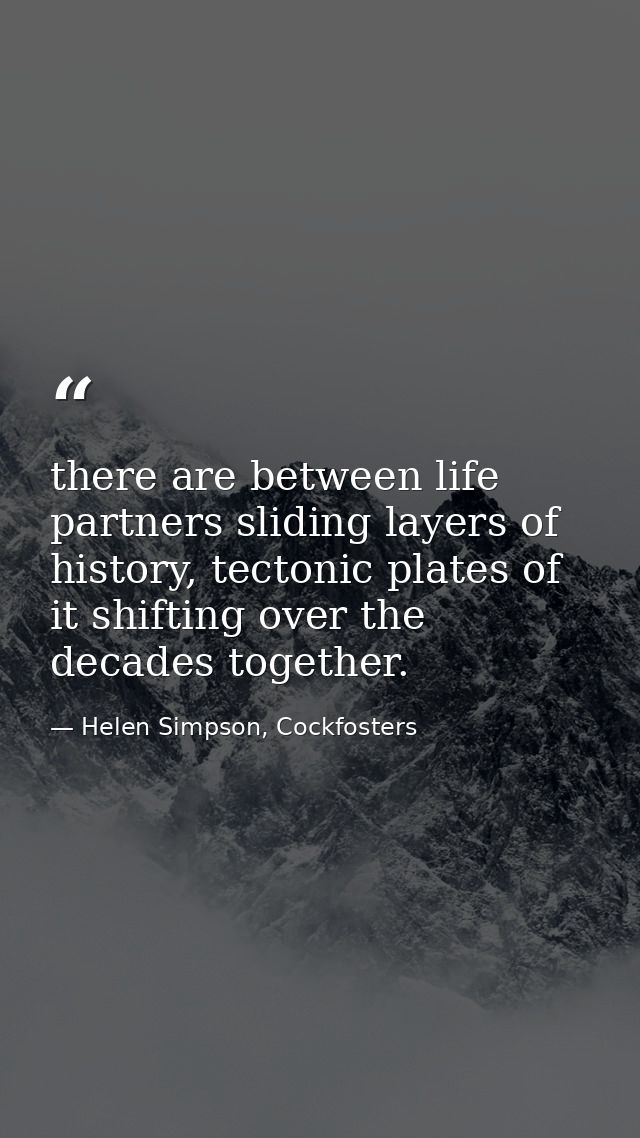 there are between life partners sliding layers of history, tectonic plates of it shifting over the decades together. — Helen Simpson, Cockfosters