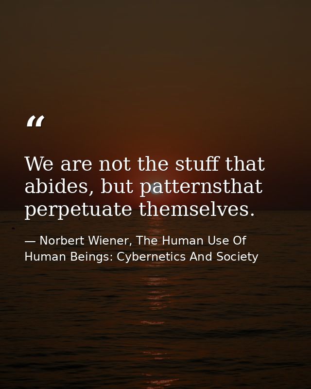 We are not the stuff that abides, but patternsthat perpetuate themselves. — Norbert Wiener, The Human Use Of Human Beings: Cybernetics And Society