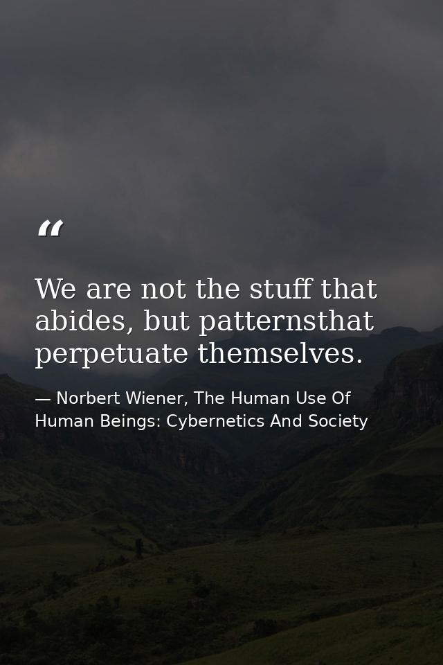 We are not the stuff that abides, but patternsthat perpetuate themselves. — Norbert Wiener, The Human Use Of Human Beings: Cybernetics And Society