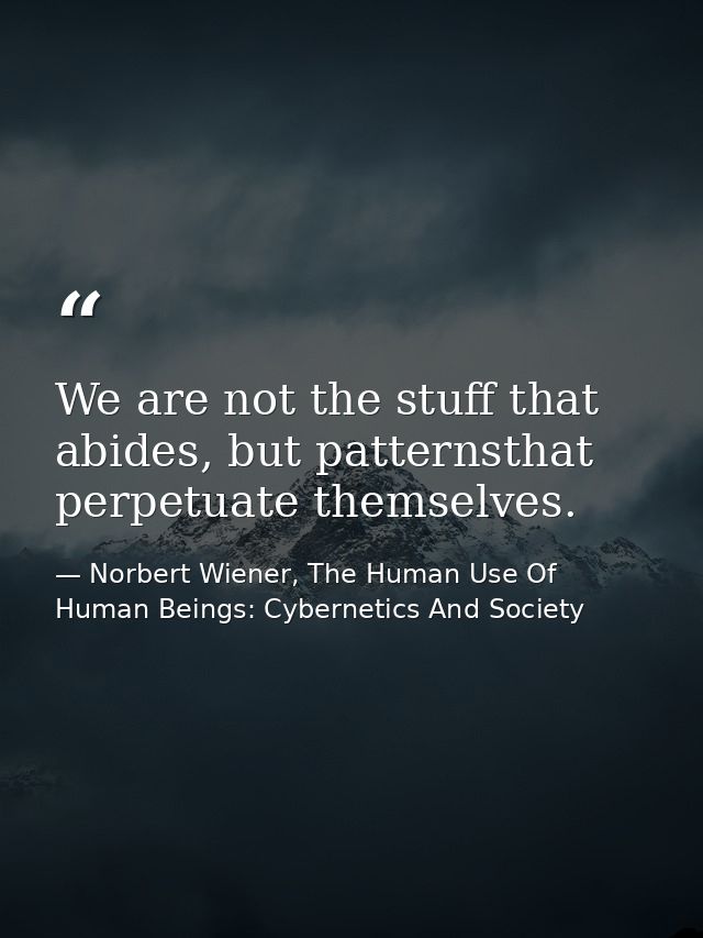 We are not the stuff that abides, but patternsthat perpetuate themselves. — Norbert Wiener, The Human Use Of Human Beings: Cybernetics And Society