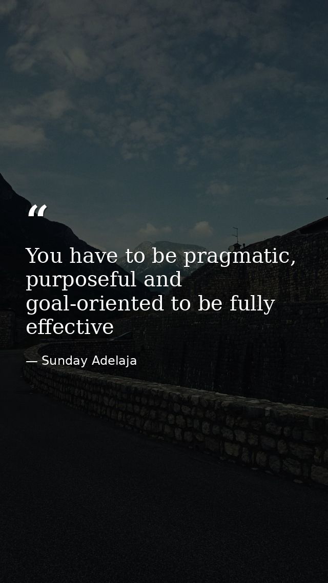 You have to be pragmatic, purposeful and goal-oriented to be fully effective — Sunday Adelaja
