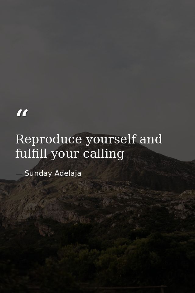 Reproduce yourself and fulfill your calling — Sunday Adelaja