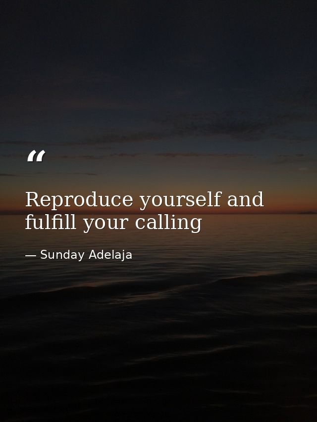 Reproduce yourself and fulfill your calling — Sunday Adelaja